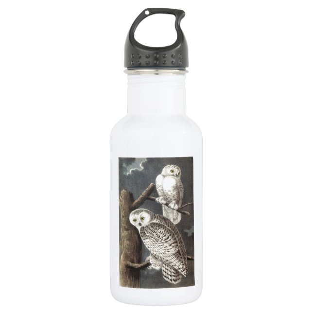 Botella De Agua Lechuza de nieve por Audubon (Anverso)