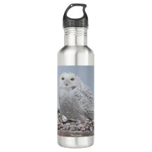 Lechuza nevada en Snells