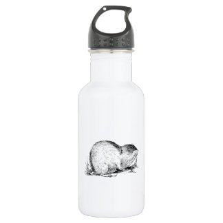 Botella De Agua Leming