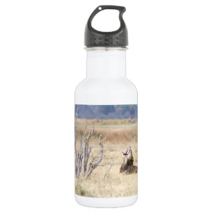 Botella De Agua León de Yawning