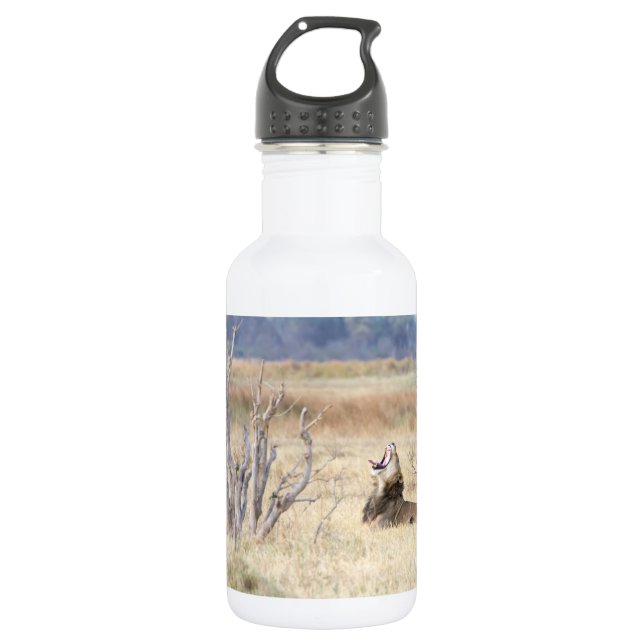 Botella De Agua León de Yawning (Anverso)