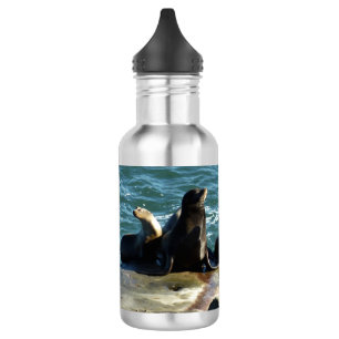 Botella De Agua Leones marinos de San Diego