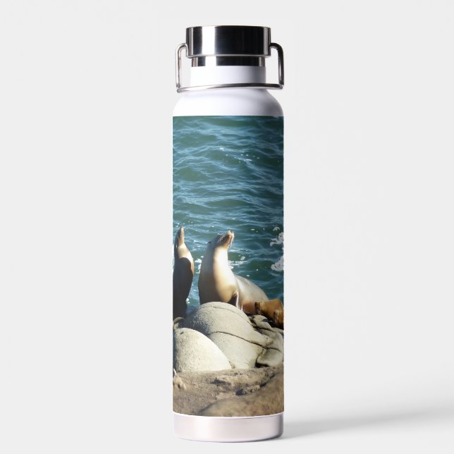 Botella De Agua Leones marinos de San Diego (Atrás)
