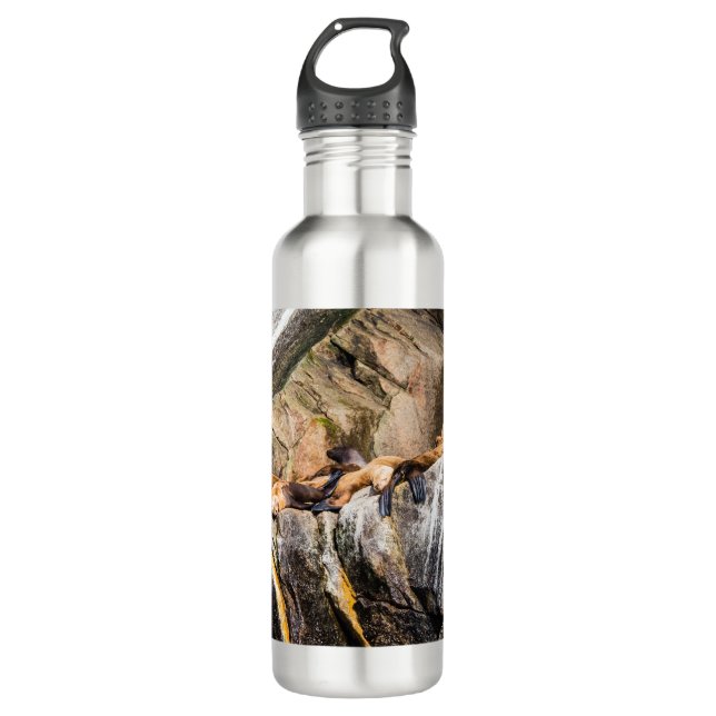 Botella De Agua Leones Marinos Sobre Las Rocas (Anverso)