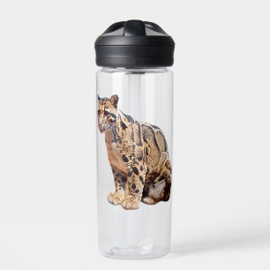 Botella De Agua leopardo nublado fotografía selva gran gato animal