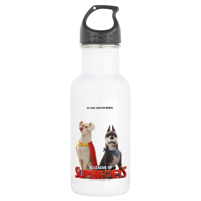 Botella De Agua Liga DC de Super Mascotas Arte Teatral (Anverso)