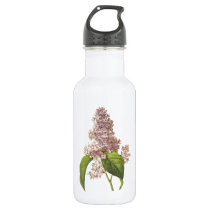 Botella De Agua lila (Syringa sp.) por Redouté
