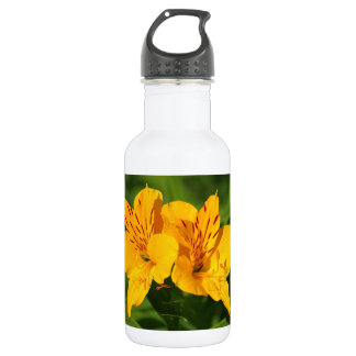Botella De Agua Lilies peruanos