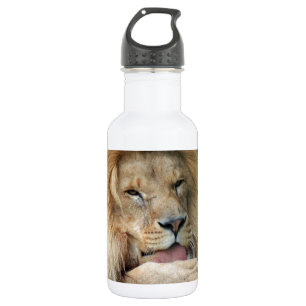 Botella De Agua Lion Safari Cute African Classy