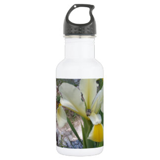 Botella De Agua Lirio blanco y escarabajo