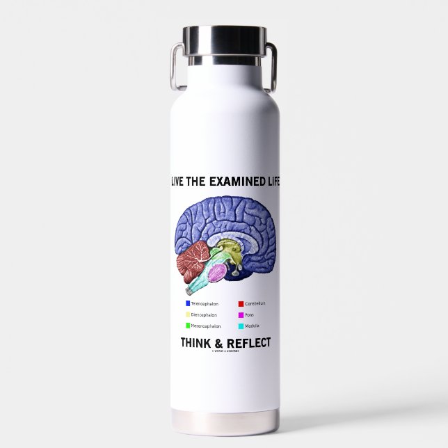 Botella De Agua Live The Examined Life Think & Reflect Advice (Delantero)