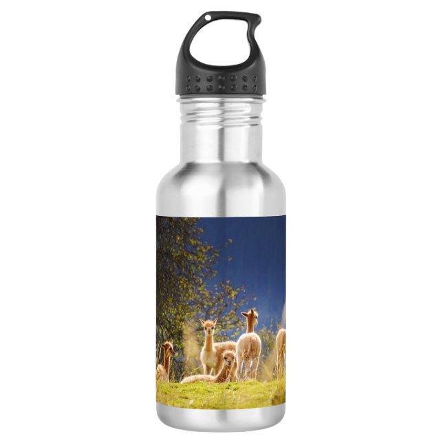 Botella De Agua Llamas bebés en un campo (Anverso)