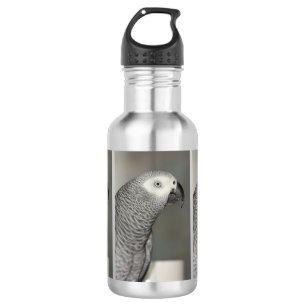 Botella De Agua Loro majestuoso del gris africano
