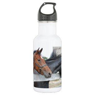 Botella De Agua Los Caballos de Amor