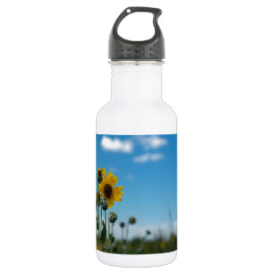 Botella De Agua Los girasoles en el cielo azul