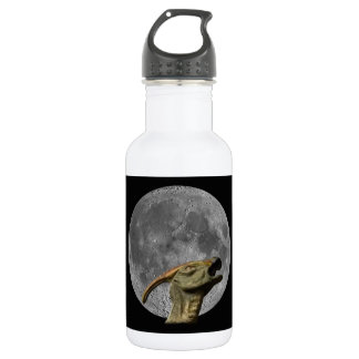 Botella De Agua Luna y Charonosauro