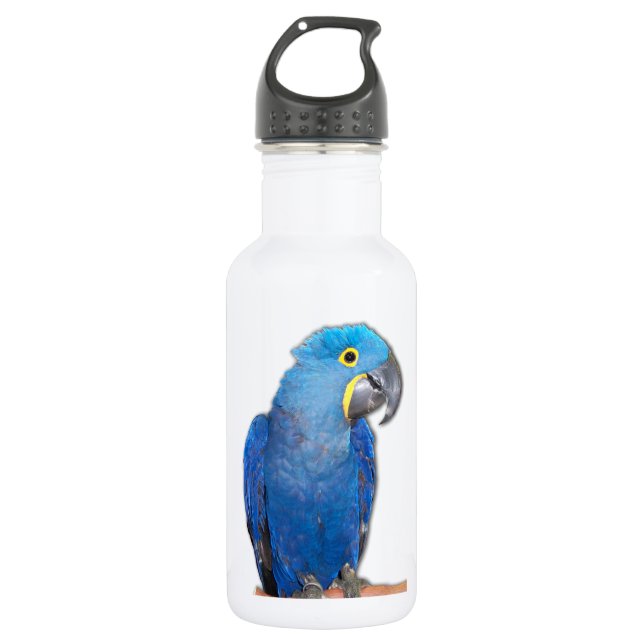 Botella De Agua Macaw del jacinto (Anverso)