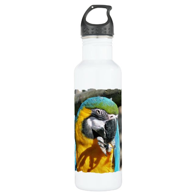 BOTELLA DE AGUA MACAWS (Anverso)