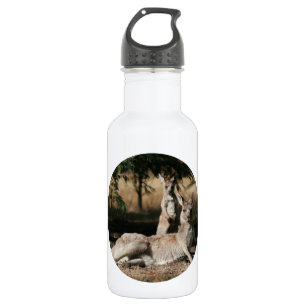 Botella De Agua Madre canguro y Joey bebé