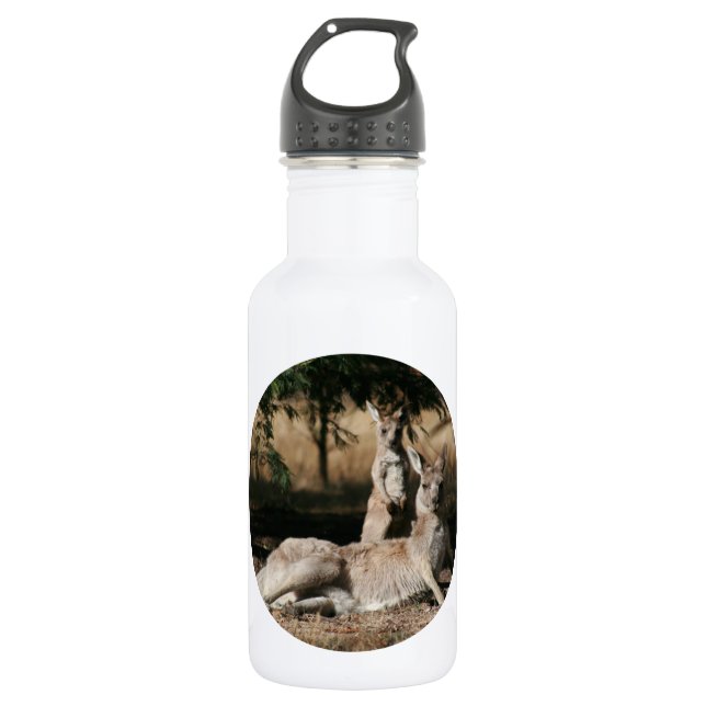 Botella De Agua Madre canguro y Joey bebé (Anverso)
