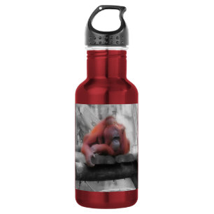 Botella De Agua Madre e hijo de Orangutan