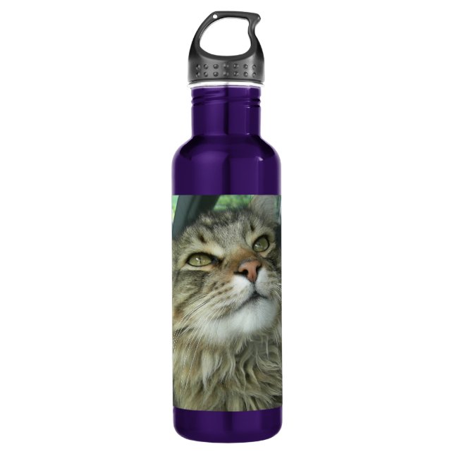 Botella De Agua Maine Coon kitty (Anverso)