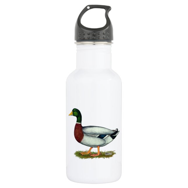 Botella De Agua Mallard Duck Drake (Anverso)