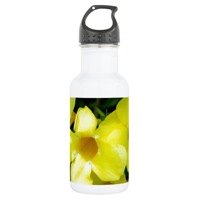 Botella De Agua Mandevilla.JPG (Anverso)