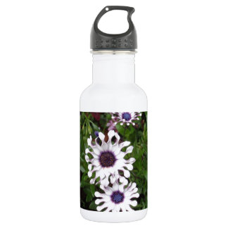Botella De Agua Margarita africana blanca