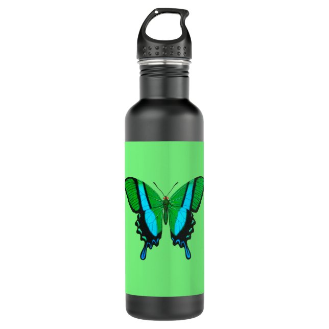 Botella De Agua Mariposa de cola tragada en verde, turquesa y negr (Anverso)