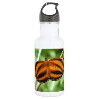 Botella De Agua Mariposa de Raya de Tigre