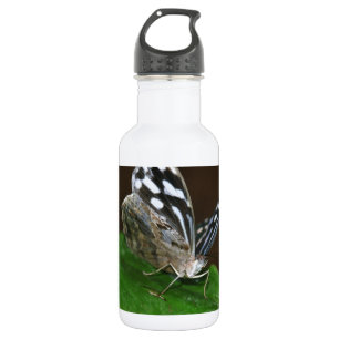 Botella De Agua Mariposa negra y blanca