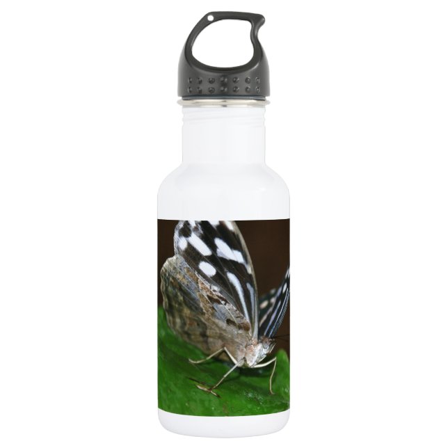 Botella De Agua Mariposa negra y blanca (Anverso)