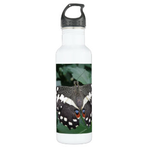 Botella De Agua Mariposa y flores de limón