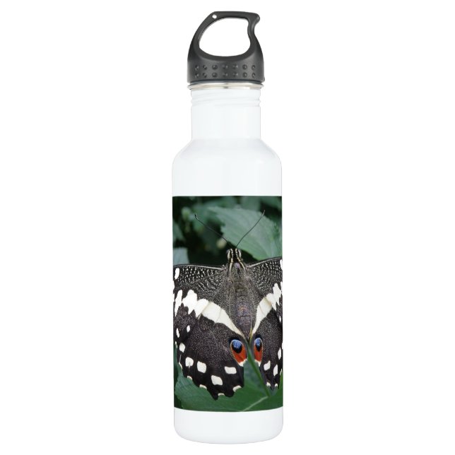 Botella De Agua Mariposa y flores de limón (Anverso)