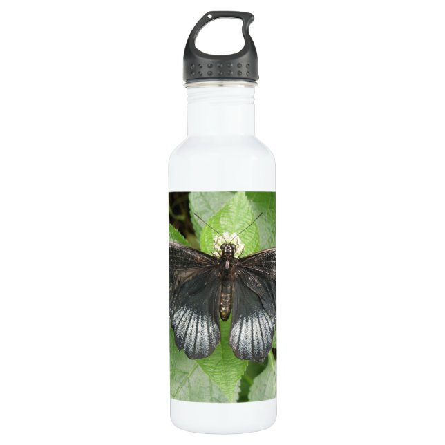 Botella De Agua Mariposa y flores tropicales de bonito (Anverso)