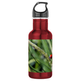 Botella De Agua Mariquita (Coccinellidae)