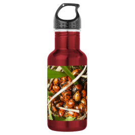 Botella De Agua Mariquitas (Coccinellidae)