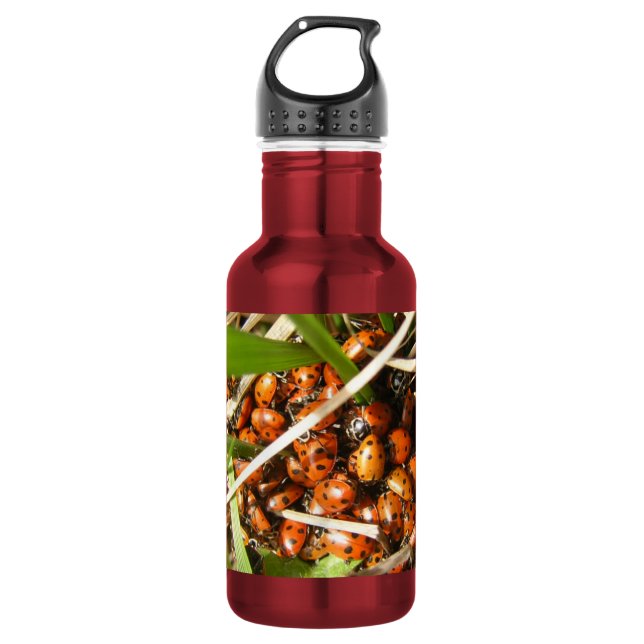 Botella De Agua Mariquitas (Coccinellidae) (Anverso)