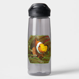 Botella De Agua Marisco con anémona verde. Diseño fotográfico  