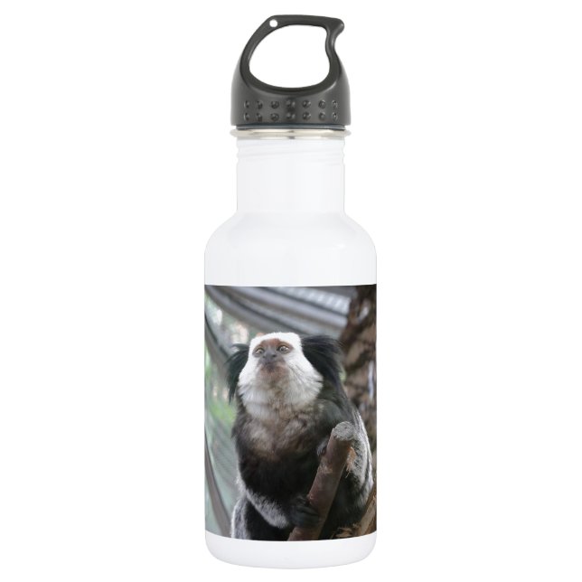 Botella De Agua Marmoset (Anverso)