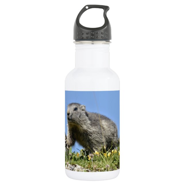 Botella De Agua Marmota alpina joven (Anverso)