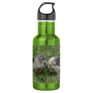 Botella De Agua Marmotas