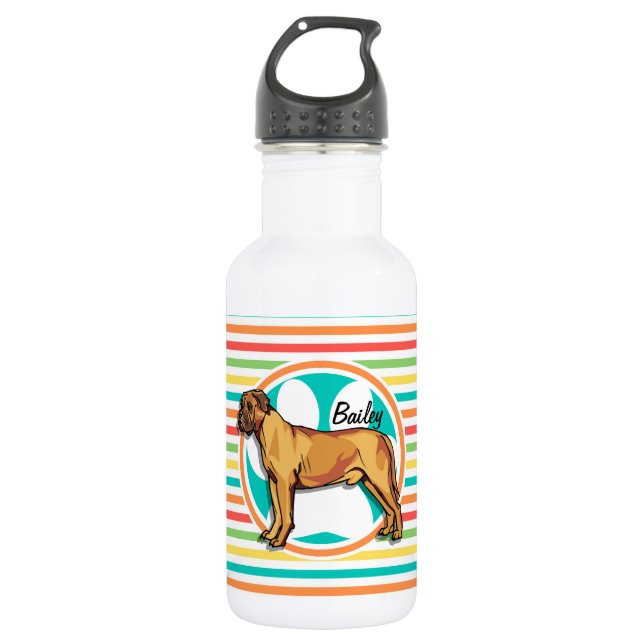 Botella De Agua Mastiff; franjas de arcoiris brillantes (Anverso)