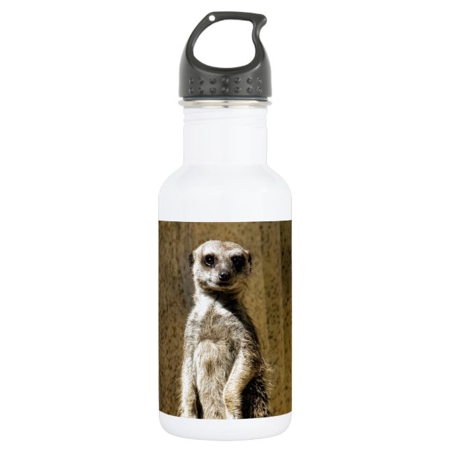 Botella De Agua Meerkat derecho curioso - suricatta del Suricata (Anverso)