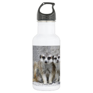 Botella De Agua Meerkat-pair