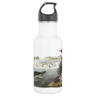 Botella De Agua Mergador Común por Audubon