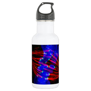 Botella De Agua Metafase de Mitotic