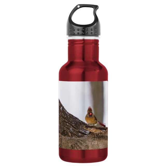 Botella De Agua Mi Troll Peinado (Anverso)