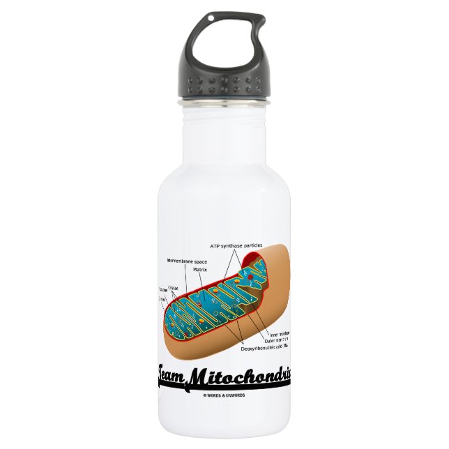 Botella De Agua Mitocondrias del equipo (humor de Mitochondrion) (Anverso)